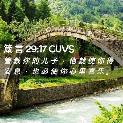 Picture 02 - 箴 言 29:17 CUVS - 管 教 你 的 儿 子 ， 他 就 使 你 得 - Bible Verse Picture