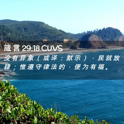 Picture 02 - 箴 言 29:18 CUVS - 没 有 异 象 （ 或 译 ： 默 示 ） ， - Bible Verse Picture