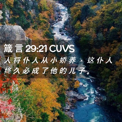 Picture 02 - 箴 言 29:21 CUVS - 人 将 仆 人 从 小 娇 养 ， 这 仆 人 - Bible Verse Picture