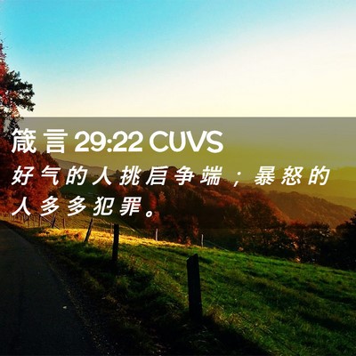 Picture 02 - 箴 言 29:22 CUVS - 好 气 的 人 挑 启 争 端 ； 暴 怒 的 - Bible Verse Picture