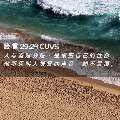 Picture 02 - 箴 言 29:24 CUVS - 人 与 盗 贼 分 赃 ， 是 恨 恶 自 己 - Bible Verse Picture