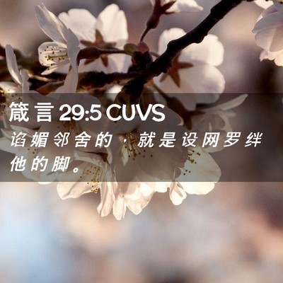 Picture 02 - 箴 言 29:5 CUVS - 谄 媚 邻 舍 的 ， 就 是 设 网 罗 绊 - Bible Verse Picture