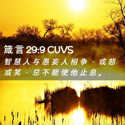 Picture 02 - 箴 言 29:9 CUVS - 智 慧 人 与 愚 妄 人 相 争 ， 或 怒 - Bible Verse Picture