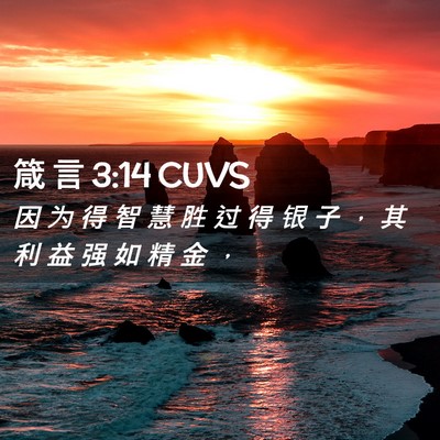 Picture 02 - 箴 言 3:14 CUVS - 因 为 得 智 慧 胜 过 得 银 子 ， 其 - Bible Verse Picture