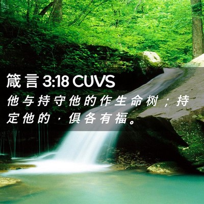 Picture 02 - 箴 言 3:18 CUVS - 他 与 持 守 他 的 作 生 命 树 ； 持 - Bible Verse Picture