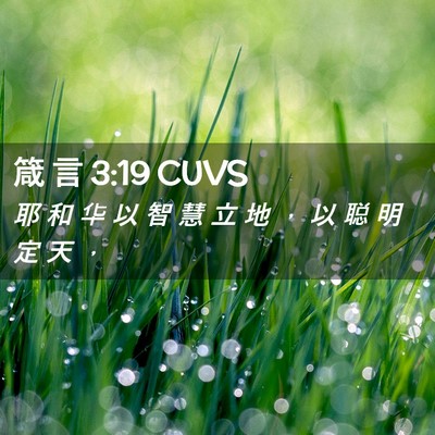 Picture 02 - 箴 言 3:19 CUVS - 耶 和 华 以 智 慧 立 地 ， 以 聪 明 - Bible Verse Picture