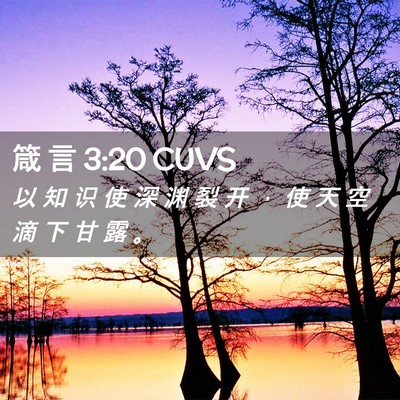 Picture 02 - 箴 言 3:20 CUVS - 以 知 识 使 深 渊 裂 开 ， 使 天 空 - Bible Verse Picture