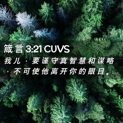 Picture 02 - 箴 言 3:21 CUVS - 我 儿 ， 要 谨 守 真 智 慧 和 谋 略 - Bible Verse Picture