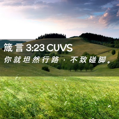 Picture 02 - 箴 言 3:23 CUVS - 你 就 坦 然 行 路 ， 不 致 碰 脚 - Bible Verse Picture