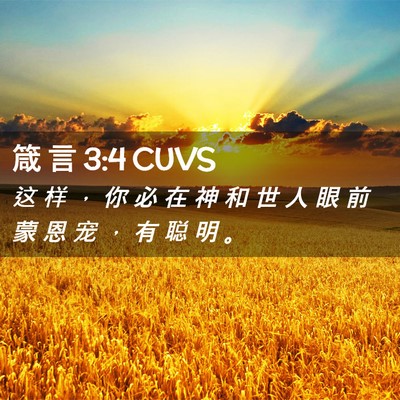 Picture 02 - 箴 言 3:4 CUVS - 这 样 ， 你 必 在 神 和 世 人 眼 前 - Bible Verse Picture