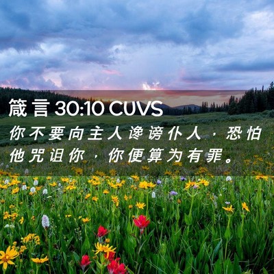 Picture 02 - 箴 言 30:10 CUVS - 你 不 要 向 主 人 谗 谤 仆 人 ， 恐 - Bible Verse Picture