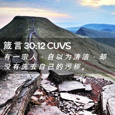 Picture 02 - 箴 言 30:12 CUVS - 有 一 宗 人 ， 自 以 为 清 洁 ， 却 - Bible Verse Picture
