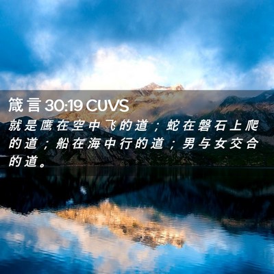 Picture 02 - 箴 言 30:19 CUVS - 就 是 鹰 在 空 中 飞 的 道 ； 蛇 在 - Bible Verse Picture