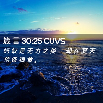 Picture 02 - 箴 言 30:25 CUVS - 蚂 蚁 是 无 力 之 类 ， 却 在 夏 天 - Bible Verse Picture