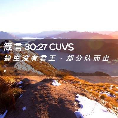 Picture 02 - 箴 言 30:27 CUVS - 蝗 虫 没 有 君 王 ， 却 分 队 而 出 - Bible Verse Picture