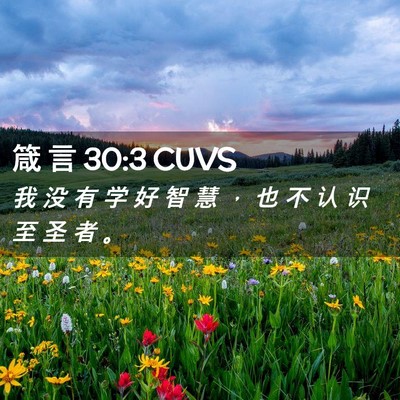 Picture 02 - 箴 言 30:3 CUVS - 我 没 有 学 好 智 慧 ， 也 不 认 识 - Bible Verse Picture