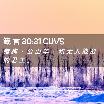Picture 02 - 箴 言 30:31 CUVS - 猎 狗 ， 公 山 羊 ， 和 无 人 能 敌 - Bible Verse Picture