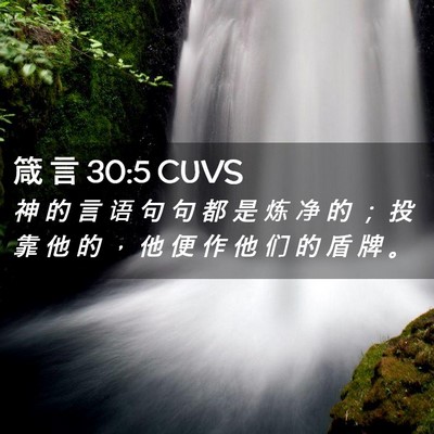 Picture 02 - 箴 言 30:5 CUVS - 神 的 言 语 句 句 都 是 炼 净 的 ； - Bible Verse Picture