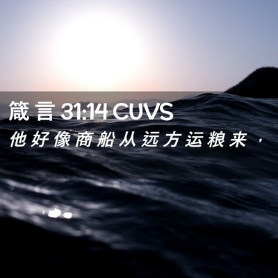 Picture 02 - 箴 言 31:14 CUVS - 他 好 像 商 船 从 远 方 运 粮 来 - Bible Verse Picture