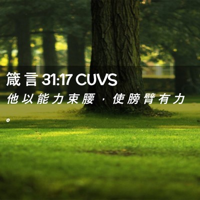Picture 02 - 箴 言 31:17 CUVS - 他 以 能 力 束 腰 ， 使 膀 臂 有 力 - Bible Verse Picture
