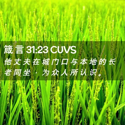 Picture 02 - 箴 言 31:23 CUVS - 他 丈 夫 在 城 门 口 与 本 地 的 长 - Bible Verse Picture