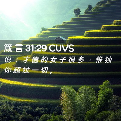 Picture 02 - 箴 言 31:29 CUVS - 说 ： 才 德 的 女 子 很 多 ， 惟 独 - Bible Verse Picture
