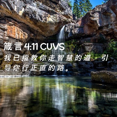 Picture 02 - 箴 言 4:11 CUVS - 我 已 指 教 你 走 智 慧 的 道 ， 引 - Bible Verse Picture