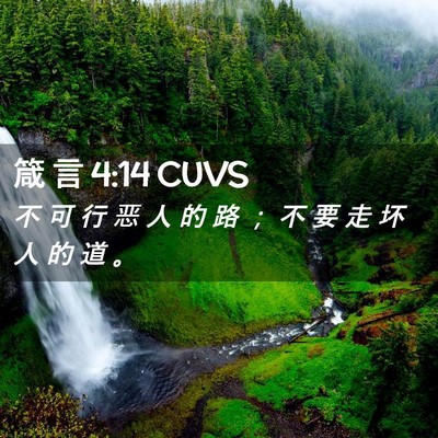 Picture 02 - 箴 言 4:14 CUVS - 不 可 行 恶 人 的 路 ； 不 要 走 坏 - Bible Verse Picture