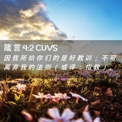 Picture 02 - 箴 言 4:2 CUVS - 因 我 所 给 你 们 的 是 好 教 训 ； - Bible Verse Picture