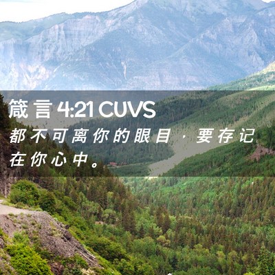 Picture 02 - 箴 言 4:21 CUVS - 都 不 可 离 你 的 眼 目 ， 要 存 记 - Bible Verse Picture