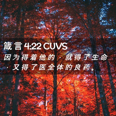 Picture 02 - 箴 言 4:22 CUVS - 因 为 得 着 他 的 ， 就 得 了 生 命 - Bible Verse Picture