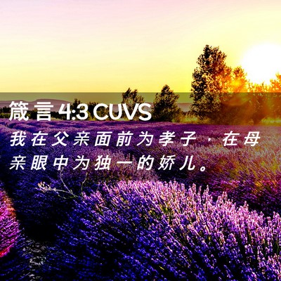 Picture 02 - 箴 言 4:3 CUVS - 我 在 父 亲 面 前 为 孝 子 ， 在 母 - Bible Verse Picture