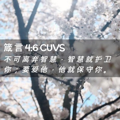 Picture 02 - 箴 言 4:6 CUVS - 不 可 离 弃 智 慧 ， 智 慧 就 护 卫 - Bible Verse Picture