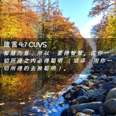 Picture 02 - 箴 言 4:7 CUVS - 智 慧 为 首 ； 所 以 ， 要 得 智 慧 - Bible Verse Picture
