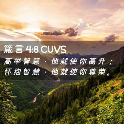 Picture 02 - 箴 言 4:8 CUVS - 高 举 智 慧 ， 他 就 使 你 高 升 ； - Bible Verse Picture