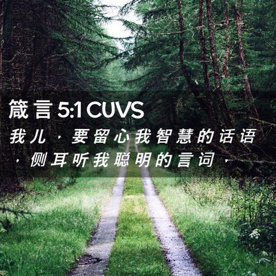 Picture 02 - 箴 言 5:1 CUVS - 我 儿 ， 要 留 心 我 智 慧 的 话 语 - Bible Verse Picture