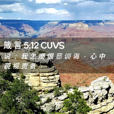 Picture 02 - 箴 言 5:12 CUVS - 说 ： 我 怎 麽 恨 恶 训 诲 ， 心 中 - Bible Verse Picture
