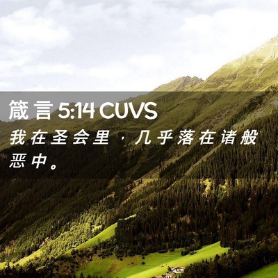 Picture 02 - 箴 言 5:14 CUVS - 我 在 圣 会 里 ， 几 乎 落 在 诸 般 - Bible Verse Picture