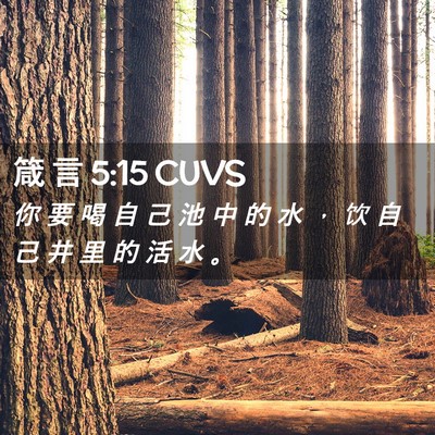 Picture 02 - 箴 言 5:15 CUVS - 你 要 喝 自 己 池 中 的 水 ， 饮 自 - Bible Verse Picture