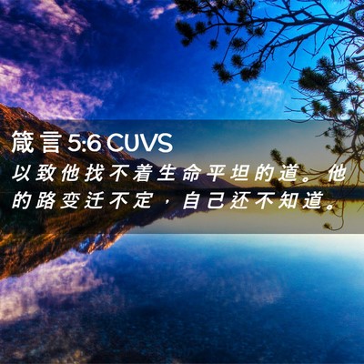 Picture 02 - 箴 言 5:6 CUVS - 以 致 他 找 不 着 生 命 平 坦 的 道 - Bible Verse Picture