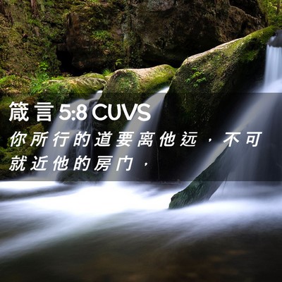 Picture 02 - 箴 言 5:8 CUVS - 你 所 行 的 道 要 离 他 远 ， 不 可 - Bible Verse Picture