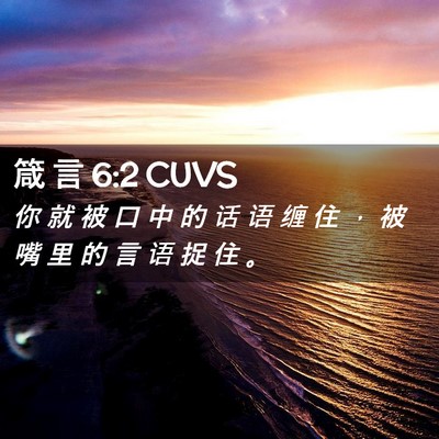Picture 02 - 箴 言 6:2 CUVS - 你 就 被 口 中 的 话 语 缠 住 ， 被 - Bible Verse Picture