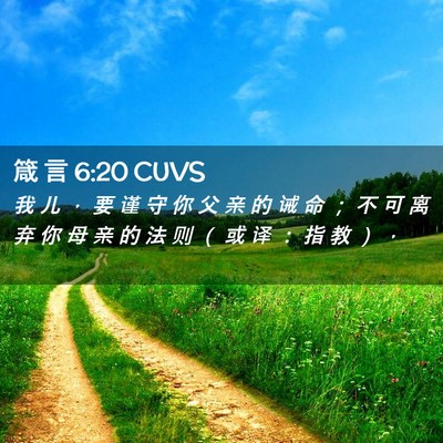 Picture 02 - 箴 言 6:20 CUVS - 我 儿 ， 要 谨 守 你 父 亲 的 诫 命 - Bible Verse Picture