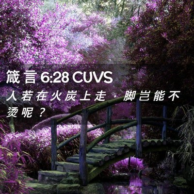 Picture 02 - 箴 言 6:28 CUVS - 人 若 在 火 炭 上 走 ， 脚 岂 能 不 - Bible Verse Picture