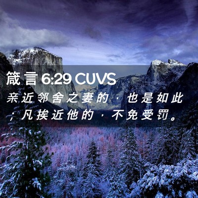 Picture 02 - 箴 言 6:29 CUVS - 亲 近 邻 舍 之 妻 的 ， 也 是 如 此 - Bible Verse Picture