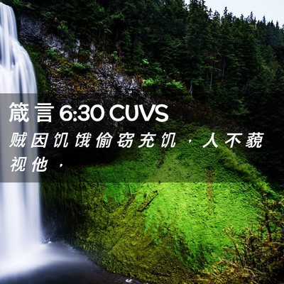 Picture 02 - 箴 言 6:30 CUVS - 贼 因 饥 饿 偷 窃 充 饥 ， 人 不 藐 - Bible Verse Picture