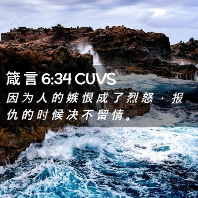 Picture 02 - 箴 言 6:34 CUVS - 因 为 人 的 嫉 恨 成 了 烈 怒 ， 报 - Bible Verse Picture