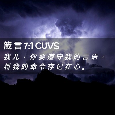 Picture 02 - 箴 言 7:1 CUVS - 我 儿 ， 你 要 遵 守 我 的 言 语 ， - Bible Verse Picture