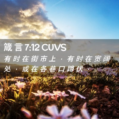 Picture 02 - 箴 言 7:12 CUVS - 有 时 在 街 市 上 ， 有 时 在 宽 阔 - Bible Verse Picture