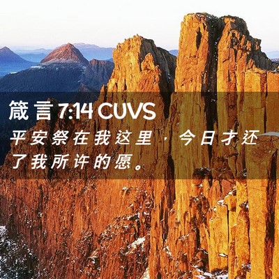 Picture 02 - 箴 言 7:14 CUVS - 平 安 祭 在 我 这 里 ， 今 日 才 还 - Bible Verse Picture